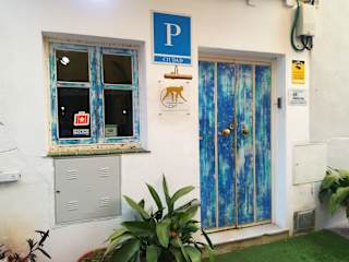 The Monkey Room의 사진