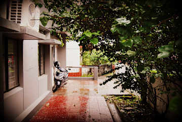 Photos of Monkey Mind Hostel Margao