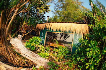 Billeder af