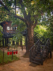 Foto di