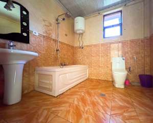 Mad Vervet Hostelの写真