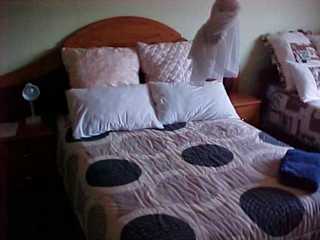 Photos of Sunbird Guest House