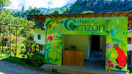 Fotos de 