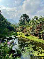 Photos of Charco Corazon