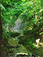 Photos of BalkanNomads