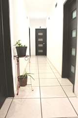 Tacuba Hotel의 사진