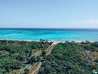 Fotos de Ocean Zen Suites on 5th Avenue - Adults Only