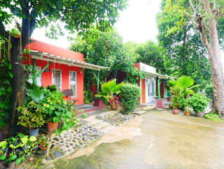 Photos of Forest Bungalows & Mama's Restaurant