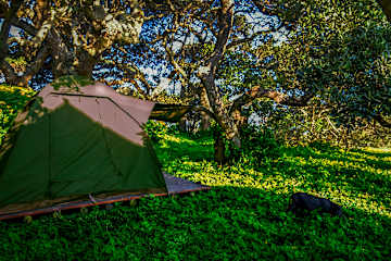 Photos of Bulungula Lodge