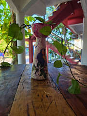 Fotos de 