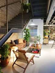 Photos of The Botanic Hostel