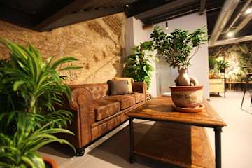 Photos of The Botanic Hostel