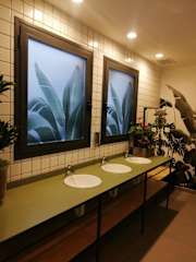 Photos of The Botanic Hostel