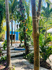 Fotos de