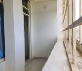 Fotografias de 