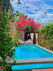 Photos of Musa Paradisiaca Hostal