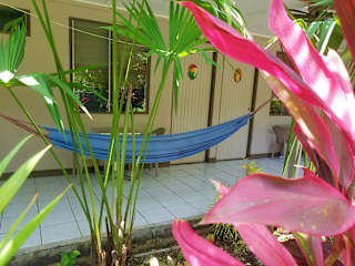 Photos of Hotel El Colibri Rojo - Cabinas - Le Colibri Rouge