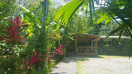 Photos of Hotel El Colibri Rojo - Cabinas - Le Colibri Rouge
