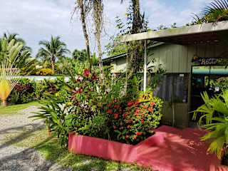 Photos of Hotel El Colibri Rojo - Cabinas - Le Colibri Rouge