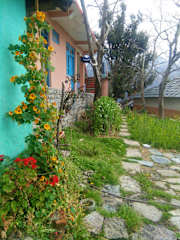 Photos of Wayfarer Kareri HomeStay