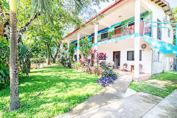 Photos de