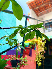 Fotos von