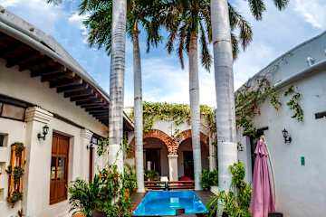 Photos of Aroha Villana