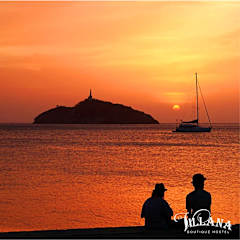 Photos of Aroha Villana
