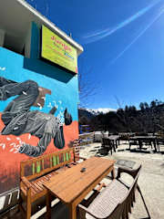 Photos of Jungle by sturmfrei Manali