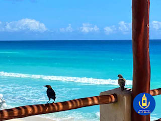 Photos of Cancun Plaza - Best Beach