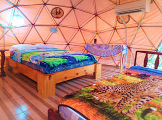 Photos of Nativa Whale Domes