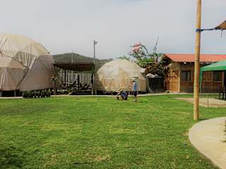 Photos of Nativa Whale Domes