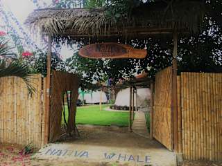 Photos of Nativa Whale Domes