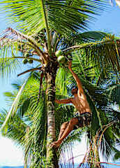 Refugio Mr Jerry Ecohostal의 사진