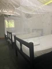 Photos of Wayanay Tayrona Eco Hostal