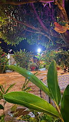 Photos of Wayanay Tayrona Eco Hostal