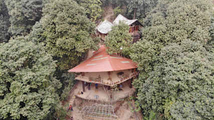 Tieedi Forest Gardenの写真