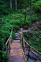 Tieedi Forest Gardenの写真