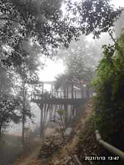 Tieedi Forest Gardenの写真