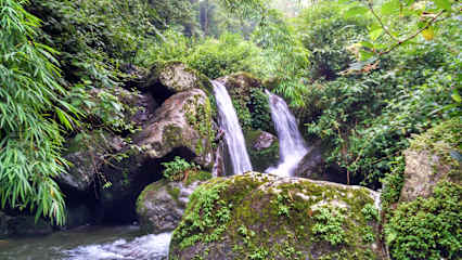 Tieedi Forest Gardenの写真