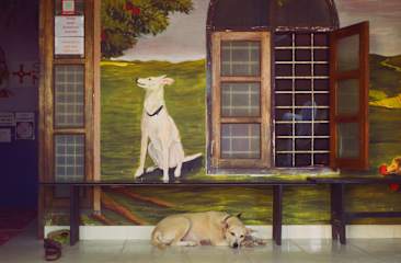 Photos of Santa Maria Hostel Fort Kochi