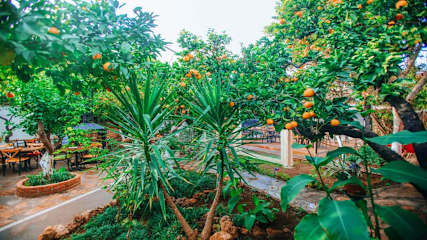 Photos of Hadrianus Hotel