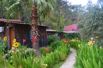 Fotos de Olympos Mercan Pansiyon