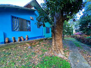 Foto di 