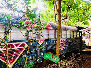 Photos of Emerald Rainbow Caravan Hostel
