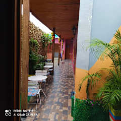 New Casa Dora의 사진