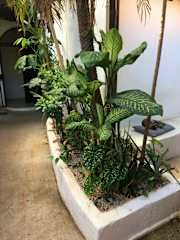 Photos of Pura Vida Hostel