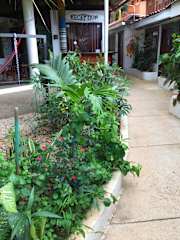 Photos of Pura Vida Hostel