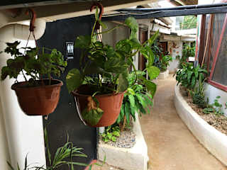 Photos of Pura Vida Hostel