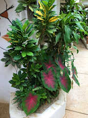 Photos of Pura Vida Hostel